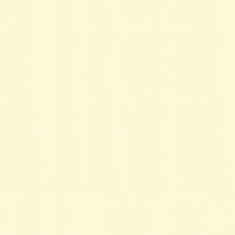 Ivory White PET Transfer Film para sa Dekorasyon ng Sala