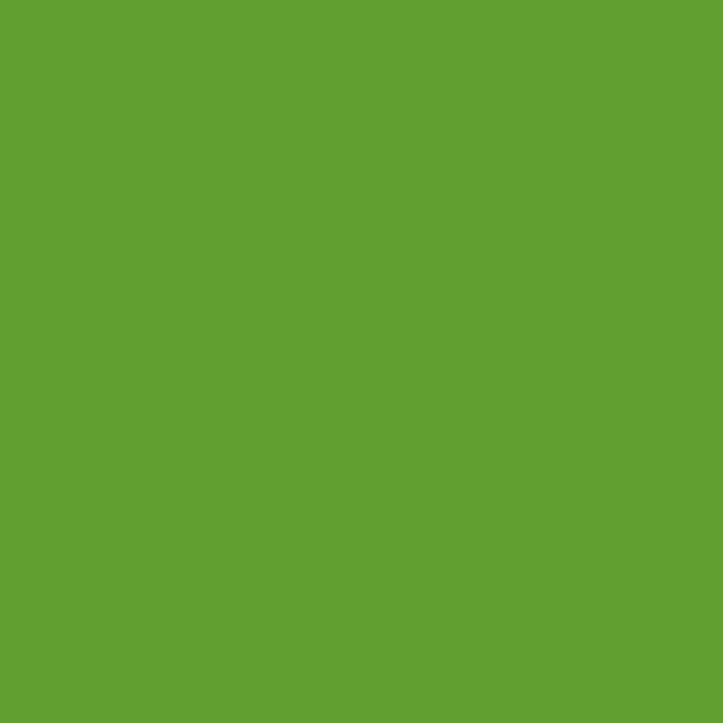 Apple Green PET Transfer Film para sa Home Cabinet Dekorasyon