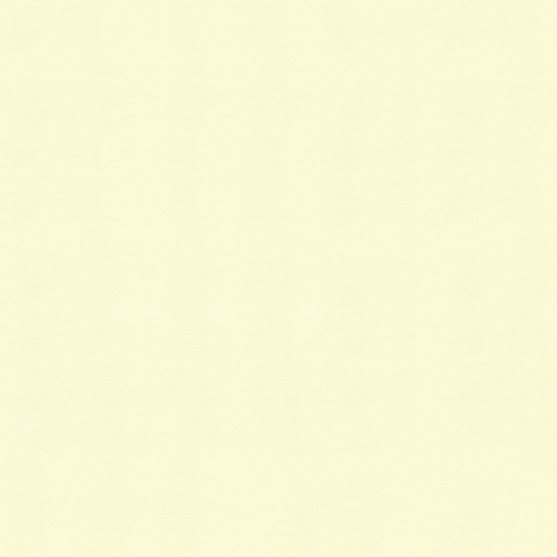 Ivory White Bedroom Wall Dekorasyon PET Cold Transfer Film