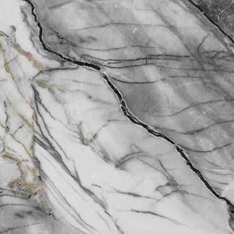 Moss Black and White Root Heat-Resistant at Oil-Proof Cabinet Heat Transfer Film